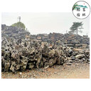 運(yùn)城批發(fā)峰石英徳石，魚池假山景觀石，峰石草坪點(diǎn)綴，峰石批發(fā)