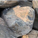 海南别墅泰山石制定-灰色泰山石假山造景-园林石假山石图片