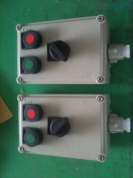 LBZ-F系列防爆操作柱電機(jī)控制A1D1B1