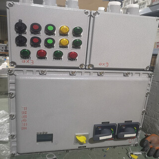 生产BXM（D)52防爆照明（动力）配电箱电源插座箱图片3