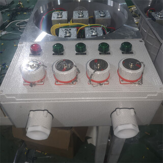 生产BXM（D)52防爆照明（动力）配电箱电源插座箱图片4