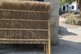 唐河竹篱笆碳化竹栅栏