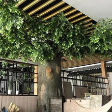 沈阳仿真树_沈阳仿真绿植