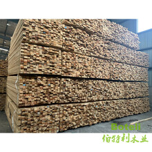 阜新板材紅松木材歡迎來電咨詢價格圖片