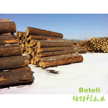 丹东建筑木方松木板材厂家生产批发基地