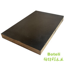 丹東木模板價格，丹東橋梁板模板質量保障價格優圖片