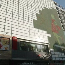 大型绿植墙