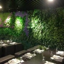 大型仿真植物墙