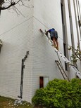 惠州惠东黄埠屋顶、楼面防水补漏公司，价格及施工方案！图片0