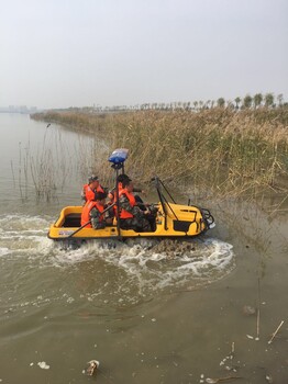 霸王龙水陆两用车-当船用的水陆两全地形车