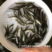 广西百色鱼苗出售广西贺州加州鲈鱼苗批发
