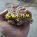 江苏南京山体喷播木纤维矿山修复木纤维