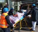 宜春救护车跨省市/500公里怎么收费-24小时服务图片