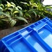 東莞市喬豐塑膠箱-東莞喬豐塑料周轉箱-東莞喬豐塑膠桶