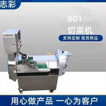 南京志彩厂家全国销售多功能全自动双头型切菜机电动一机多用
