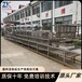 大型豆腐压榨机器镇江全自动豆腐机做豆腐的设备培训技术
