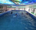東營組裝式拼接泳池-大型室內恒溫無邊際泳池