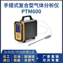 新地標環保手提式復合型氣體分析儀PTM600圖片