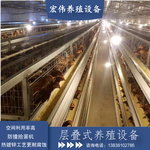 自动化蛋鸡养殖成套设备鸡只笼子多层立体鸡笼