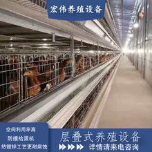湖南鸡场可用智能拾蛋器搭配养殖设备自动化程度高