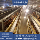 廠家批發(fā)自動化養(yǎng)殖設備五層層疊蛋雞籠全自動撿蛋機滎陽宏偉