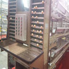 廠家供應蛋雞自動撿蛋機層式撿蛋機價格升降式收蛋設備