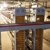 河南宏偉廠家全鍍鋅階梯撿蛋機全自動收蛋機養殖設備