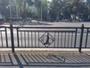 珠海交通防护栏杆生产厂家金湾人行道围栏定做价格