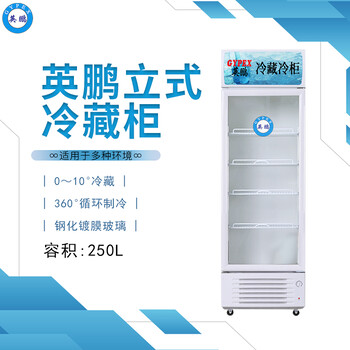 深圳英鹏冰箱蔬菜水果立式冷藏柜食物玻璃门冰柜250L