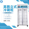 惠州英鵬冰箱立式冷藏柜玻璃門冰柜雙門500L