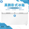 武漢英鵬1580L臥式食品冷藏冷凍冰柜商用臥式冰箱