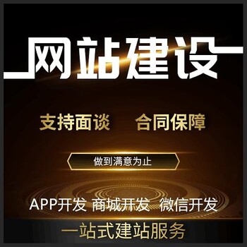 江西九江做网站建设小程序商城APP软件开发