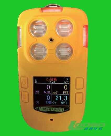 LB-FQ便携式多气体检测报警仪（适用于石油化工）