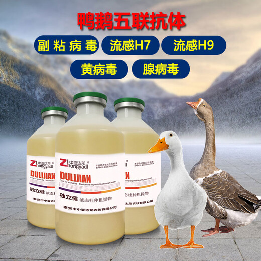 肉鸭黄病毒症状鸭打黄病毒几天生效鸭子多少天打黄病毒