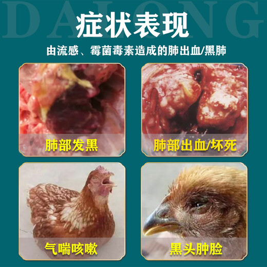 鸡肺损伤黑肺症怎么防治鸡肺脏发黑需要喂什么药