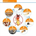 廣州滅白蟻，科學防治白蟻，廣州清除白蟻巢穴