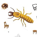 广州灭白蚁多少钱，科学的防治白蚁方法，灭白蚁