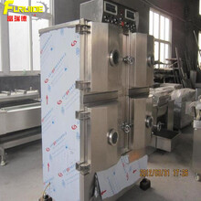 電子零件真空柜富瑞德臭氧材料儲存柜廠家供應圖片