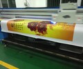 宜春無版印刷機PET材料網帶卷平一體數碼印花機廠家