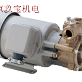 销售15AKT-0202E日本iwayadenki岩谷电机水泵65CT622