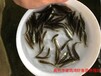 廣西梧州馴化的鱸魚苗鱸魚苗水花價格廣西柳州加州鱸魚苗批發
