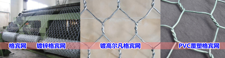 1647227172013340600-0.png@750w_750h_90Q