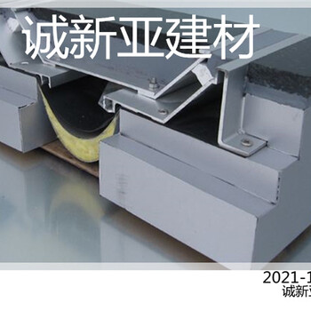 温州市建筑变形缝诚新亚不锈钢地面变形缝欢迎咨询