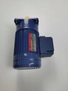 廈門(mén)東歷電機PF18-0200-20S3B刀庫減速電動(dòng)機臺灣東力馬達