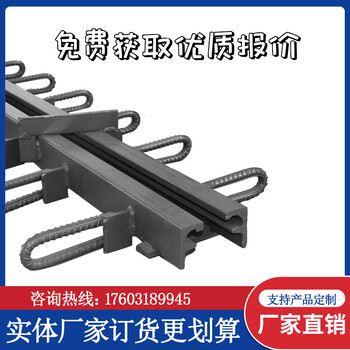 異型鋼單縫式伸縮縫