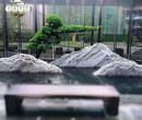 南京泰山石原中大型园林草坪景观台石敢当庭院石图片