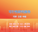 深圳可行性研究报告代写提供可研报告撰写服务图片