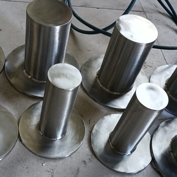 電廠離子交換器樹脂不銹鋼中排布水器裝置