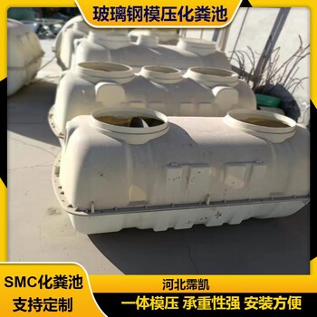 菏澤生產廠家小型家用化糞池SMC玻璃鋼化糞池雙坑旱廁改造化糞池