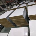 上海廠(chǎng)家供應巖棉板彩鋼巖棉復合板50mm巖棉凈化板